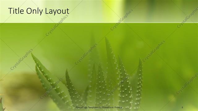 Title Only presentation slide layout