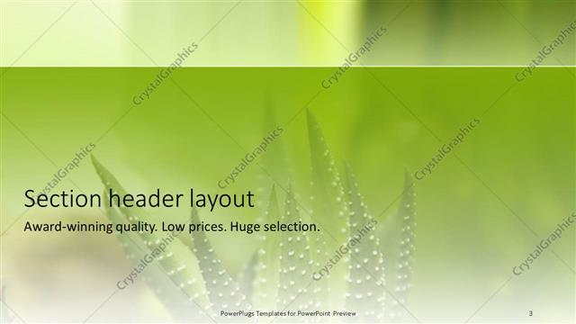 Section Header presentation slide layout