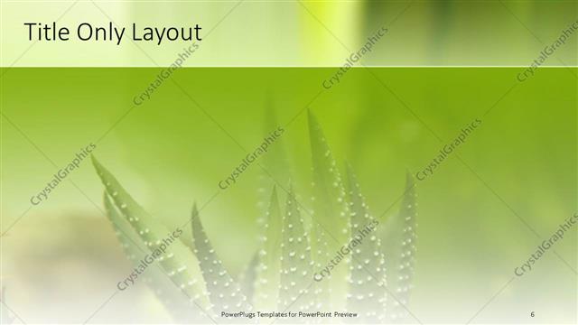 Title Only presentation slide layout