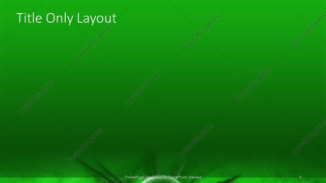 Title Only presentation slide layout