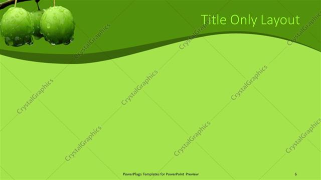 Title Only presentation slide layout