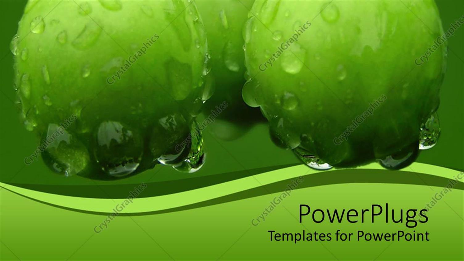 Premium Template for PowerPoint & Google Slides 