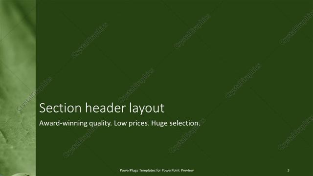 Section Header presentation slide layout