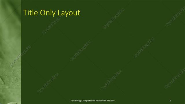 Title Only presentation slide layout