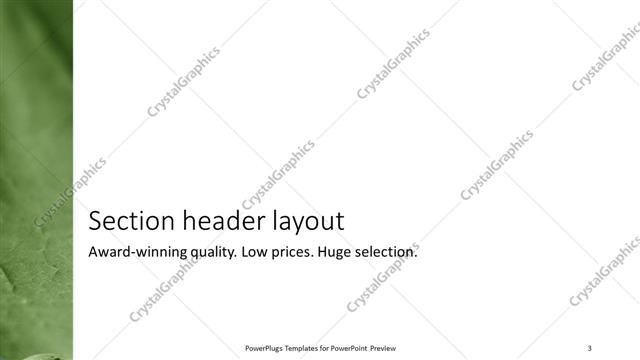 Section Header presentation slide layout