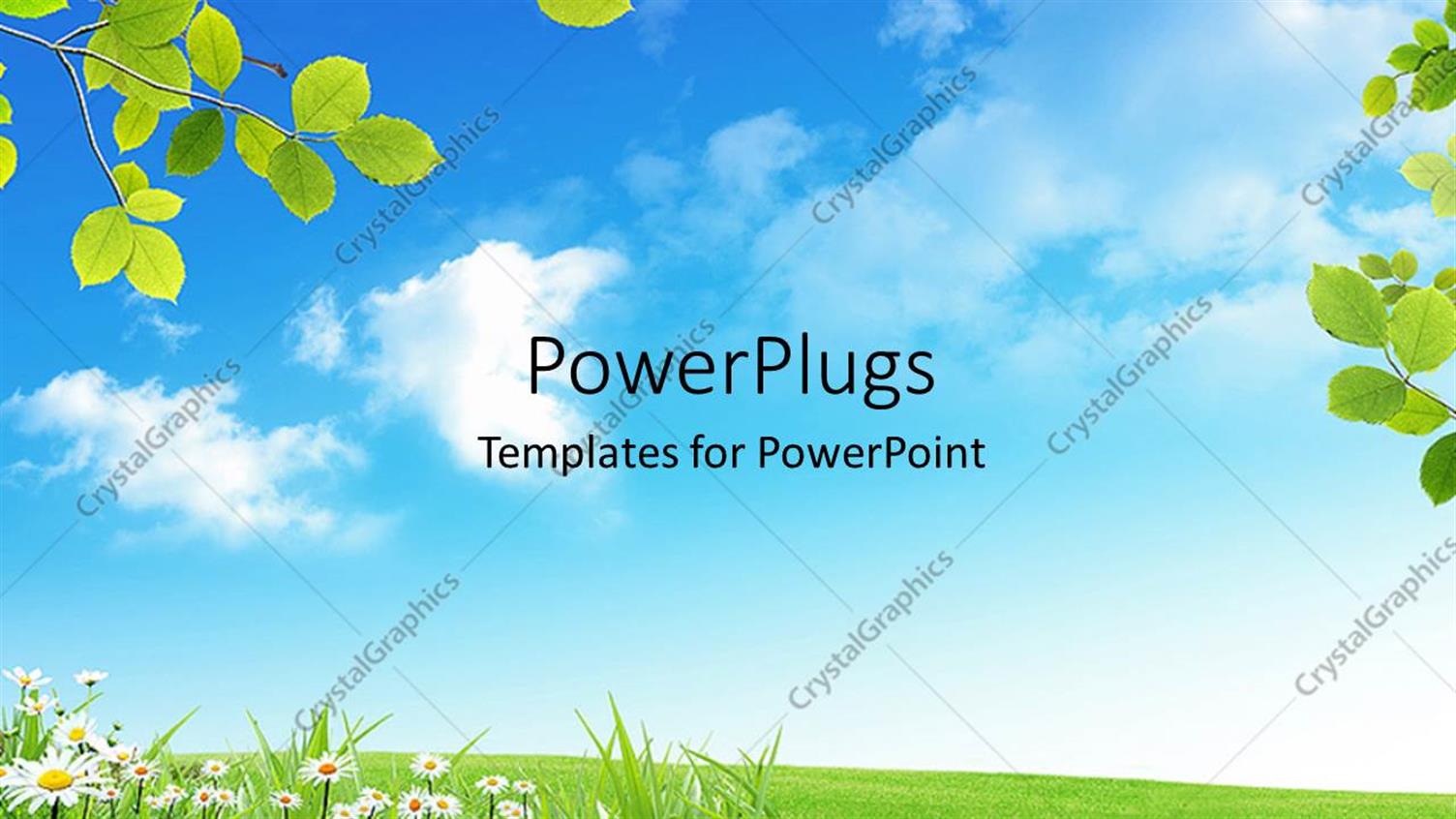 Premium Template for PowerPoint & Google Slides 