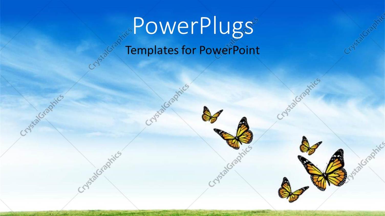 Featuring a Green Field with a Number of Butterflies