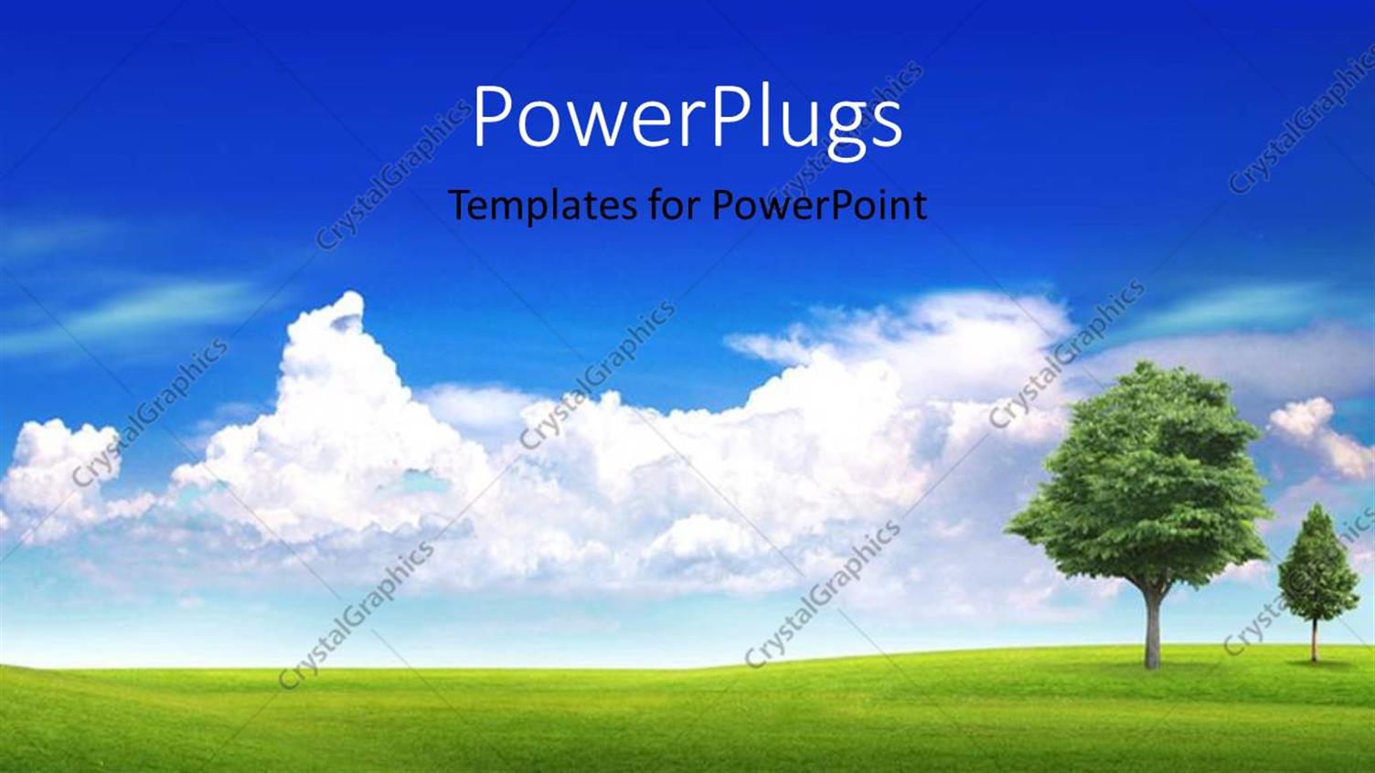 Premium Template for PowerPoint & Google Slides 