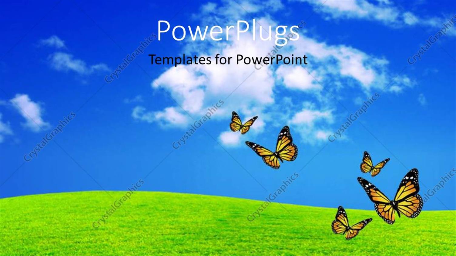 Premium Template for PowerPoint & Google Slides 