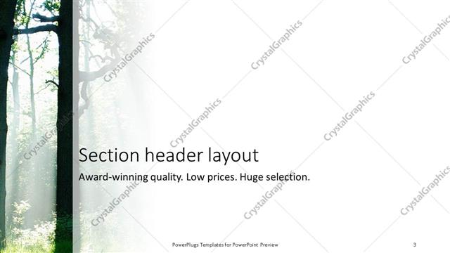 Section Header presentation slide layout