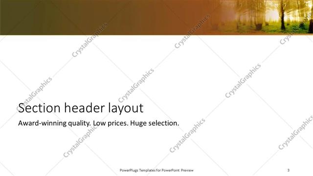 Section Header presentation slide layout