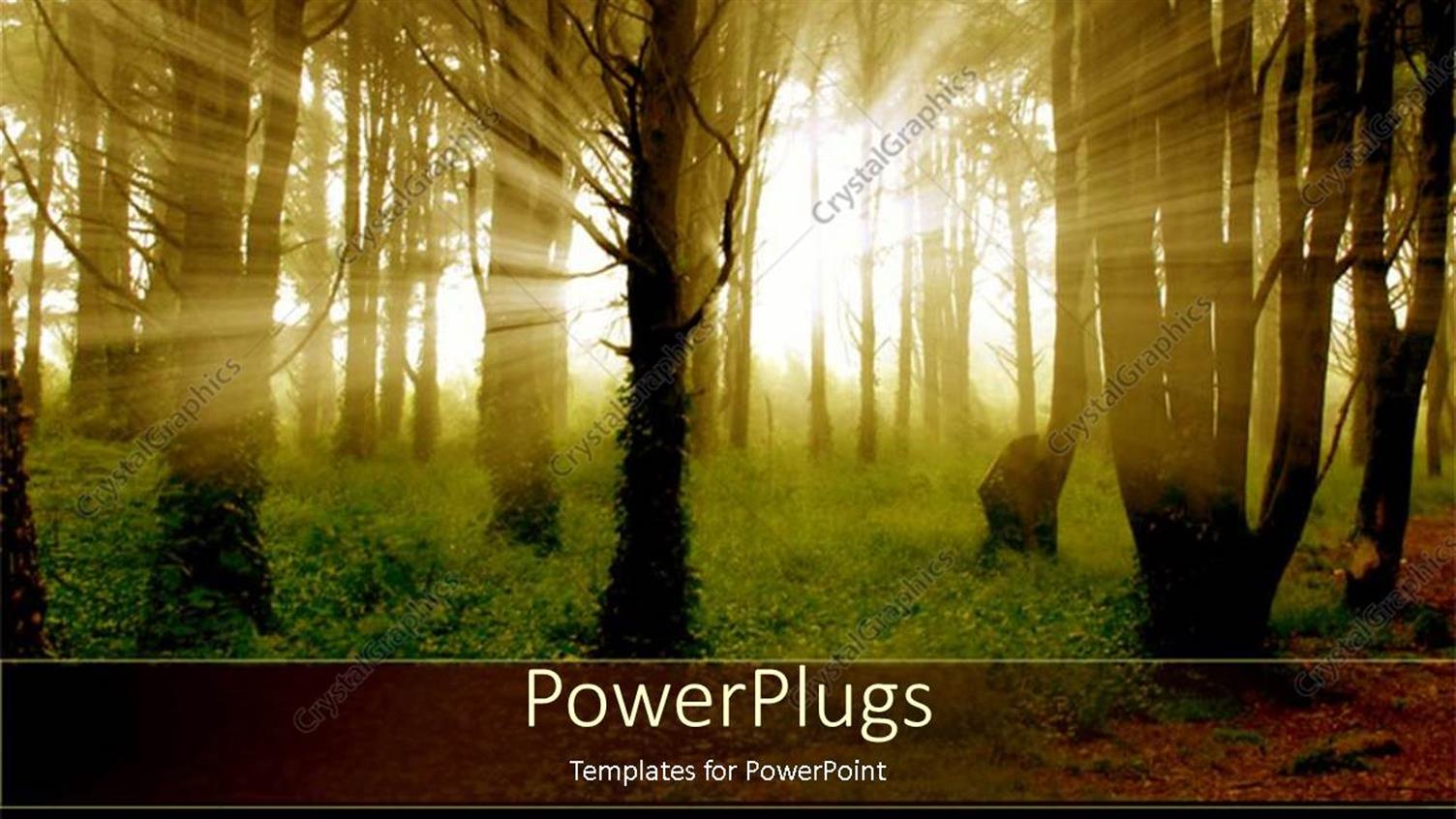 Premium Template for PowerPoint & Google Slides 