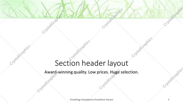 Section Header presentation slide layout