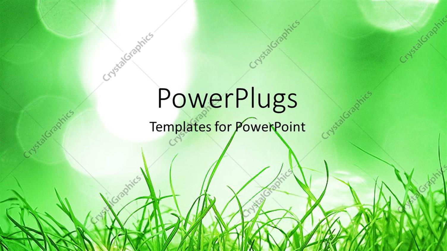 Premium Template for PowerPoint & Google Slides 