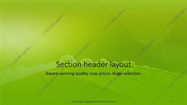 Section Header presentation slide layout
