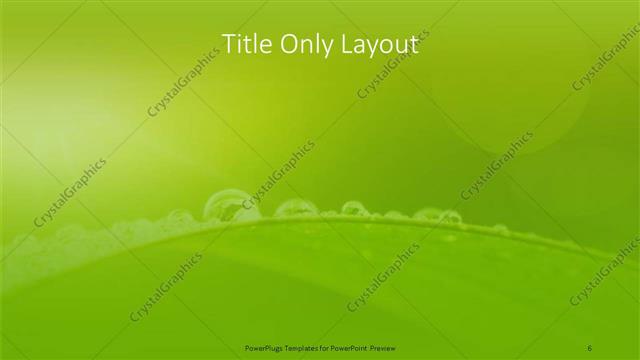 Title Only presentation slide layout