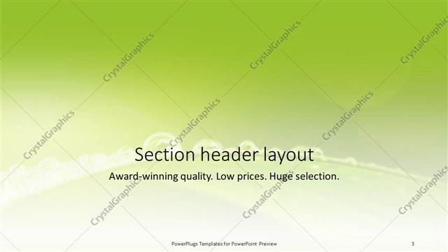 Section Header presentation slide layout