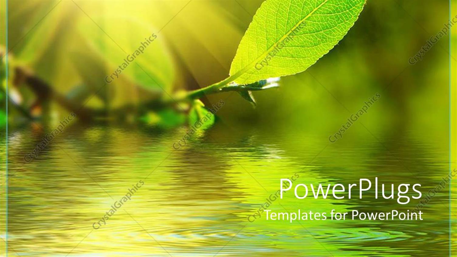 Premium Template for PowerPoint & Google Slides 