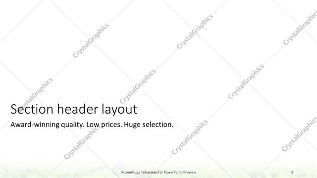 Section Header presentation slide layout