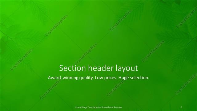 Section Header presentation slide layout