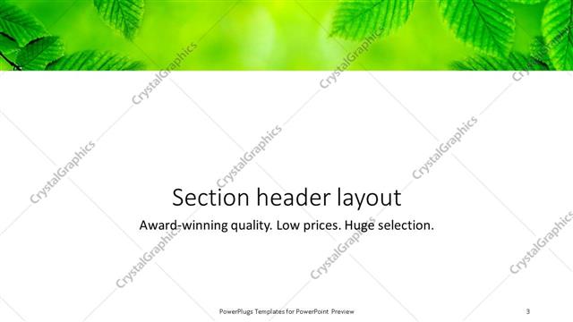 Section Header presentation slide layout