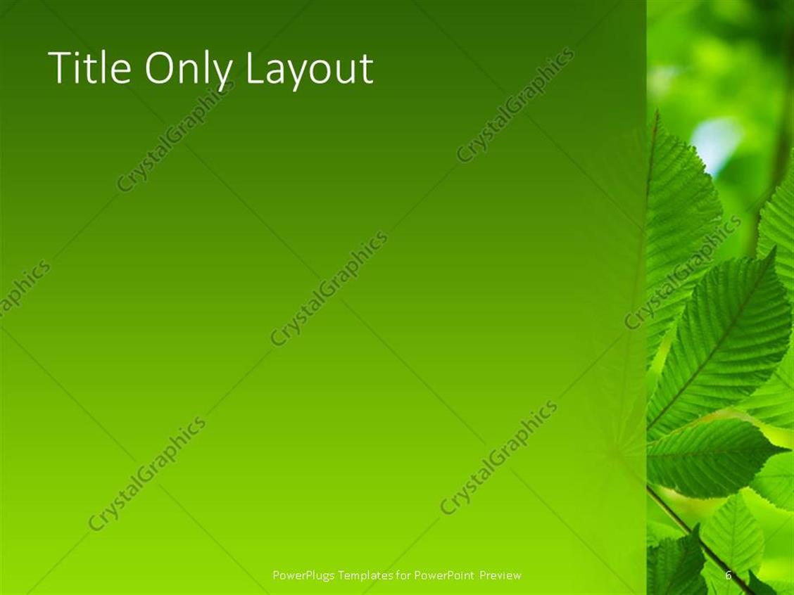 PowerPoint Template: Green leaves on a green background with other