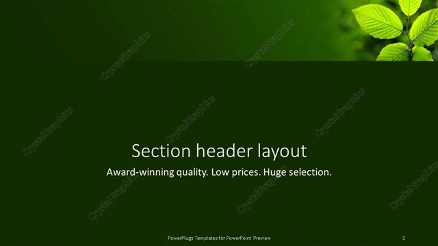 Section Header presentation slide layout