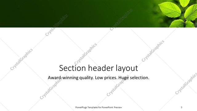 Section Header presentation slide layout