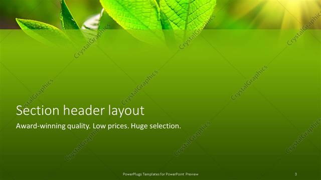 Section Header presentation slide layout