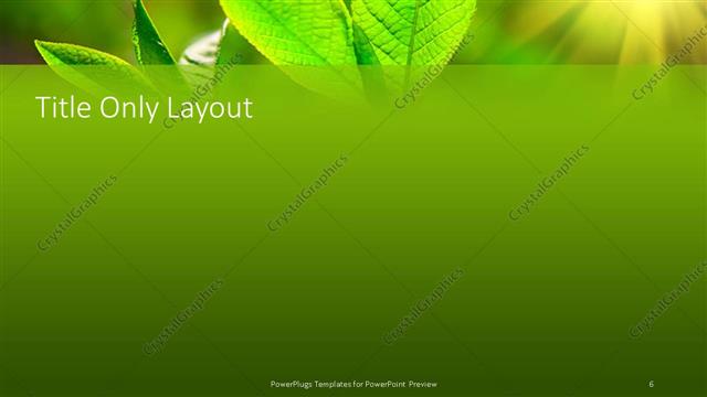 Title Only presentation slide layout