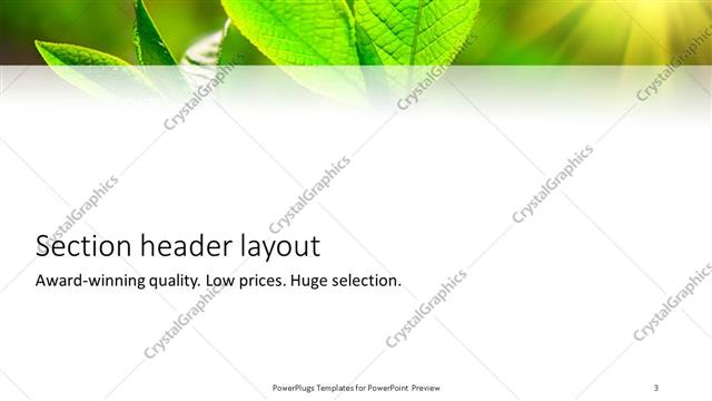 Section Header presentation slide layout