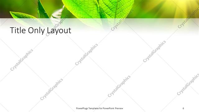 Title Only presentation slide layout