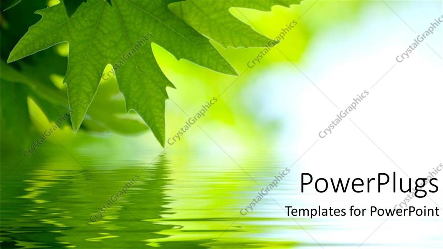 Featuring Green Maple Leaves Reflected on the Water Surface on Green and Light Blue Background