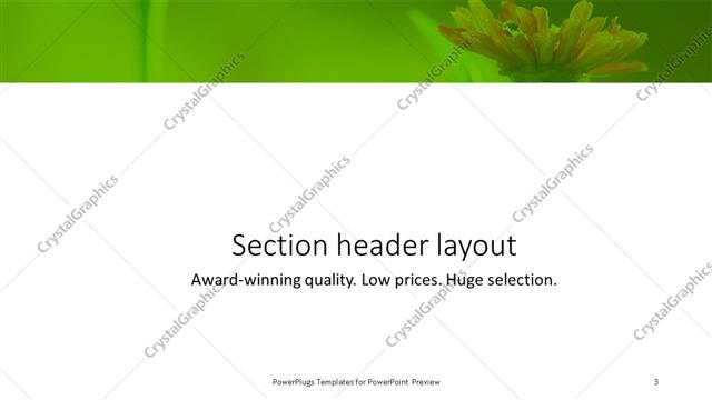 Section Header presentation slide layout