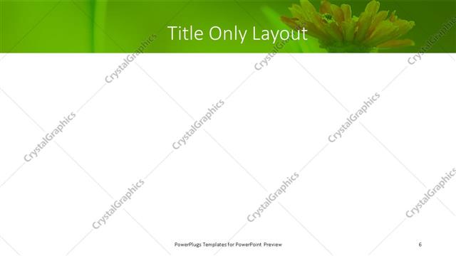 Title Only presentation slide layout