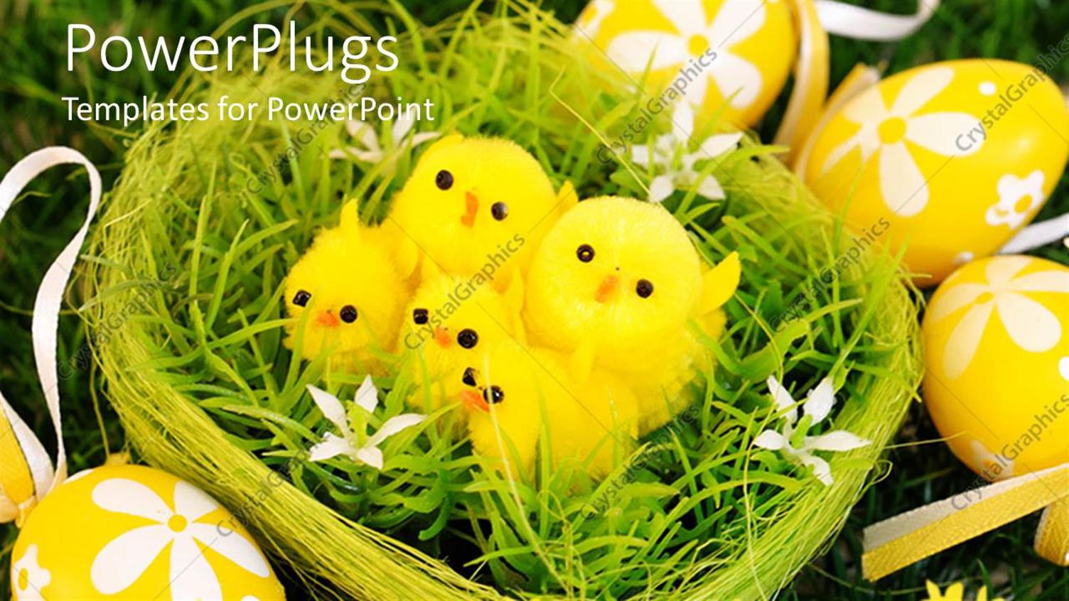 Premium Template for PowerPoint & Google Slides 