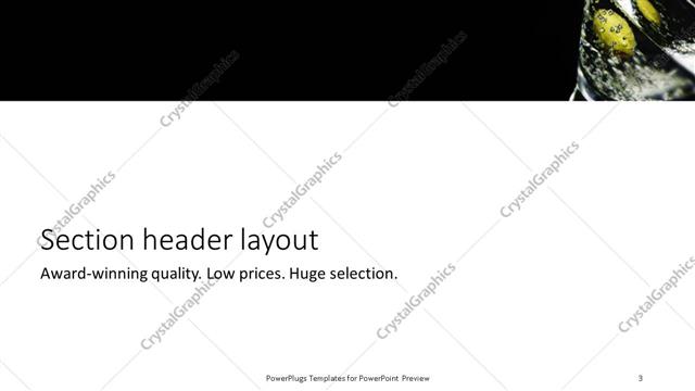 Section Header presentation slide layout
