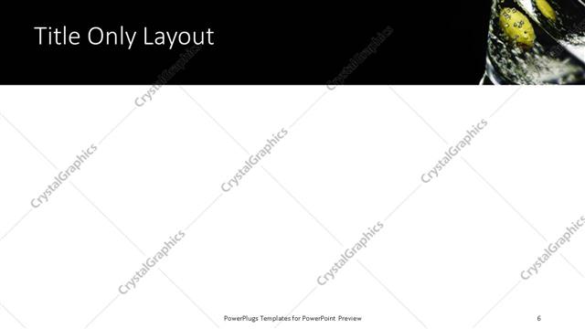 Title Only presentation slide layout