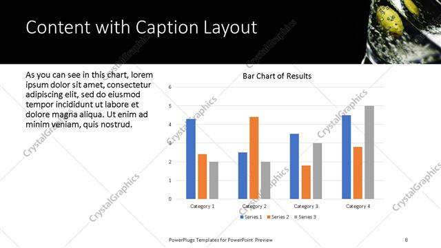 Content with Caption presentation slide layout
