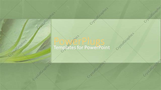  Presentation with green leaves - Green plant with long green leaves in green background