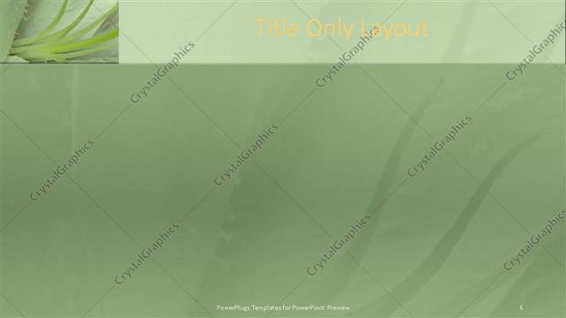 Title Only presentation slide layout