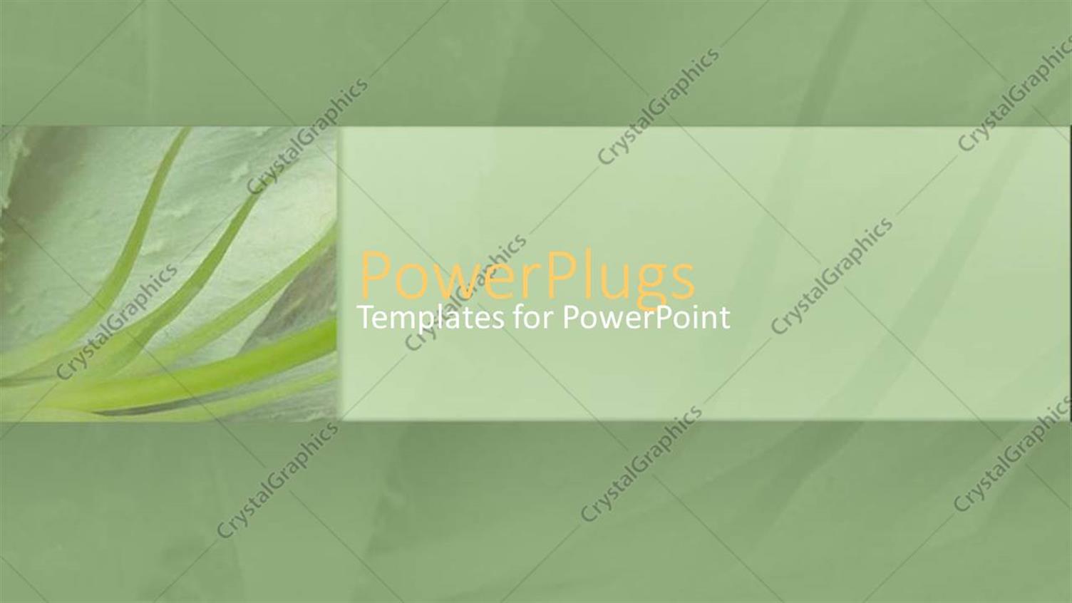 Premium Template for PowerPoint & Google Slides 