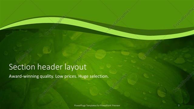 Section Header presentation slide layout