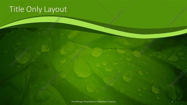 Title Only presentation slide layout