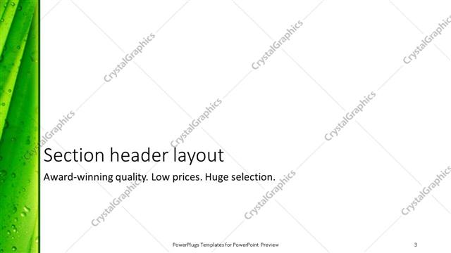 Section Header presentation slide layout
