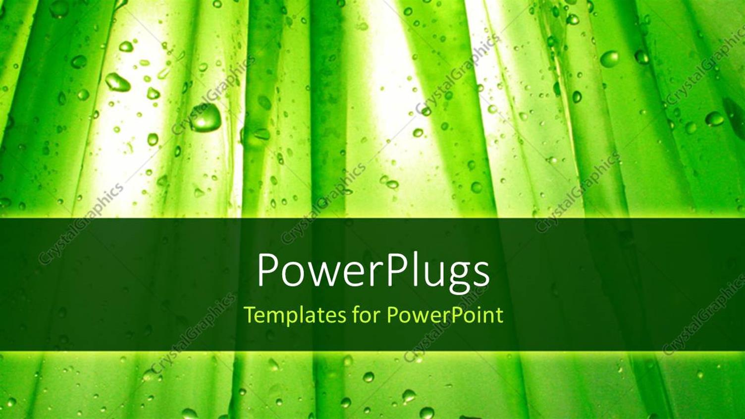 Premium Template for PowerPoint & Google Slides 