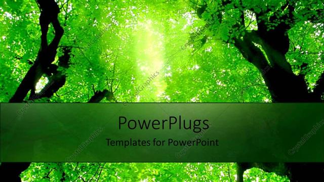  Presentation with forest - Green trees above in forest green background