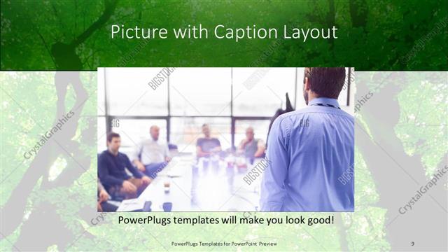 Picture with Caption presentation slide layout