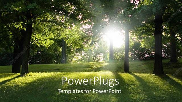  Presentation with sunlight - Green trees and green grass forest view, park, with sun rays getting through the trees