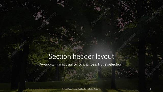 Section Header presentation slide layout